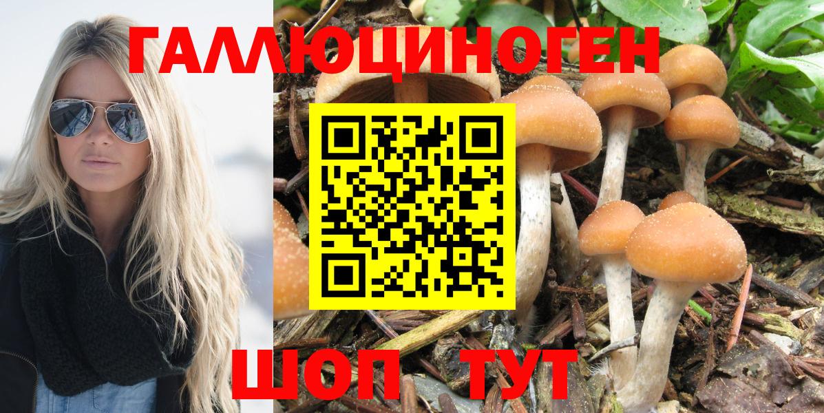 Галлюциногенные грибы Cubensis  Вход с VPN  Зима  Псилоцибиновые грибы MAGIC MUSHROOMS 